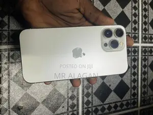 Apple iPhone 13 Pro Max (Used)