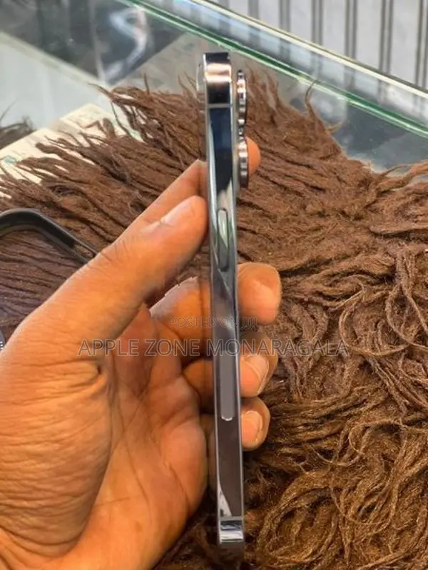 Apple iPhone 13 Pro 256GB (Used)