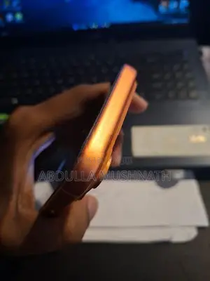Apple iPhone 17 Pro Max (Used)