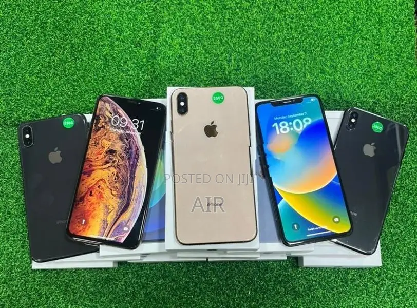 Apple iPhone XS Max 256GB (Used)