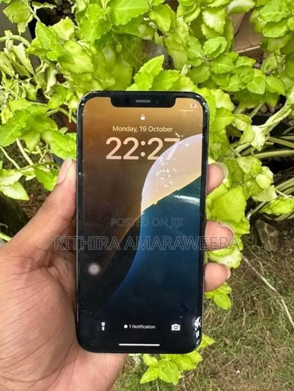 Apple iPhone 12 Pro (Used)