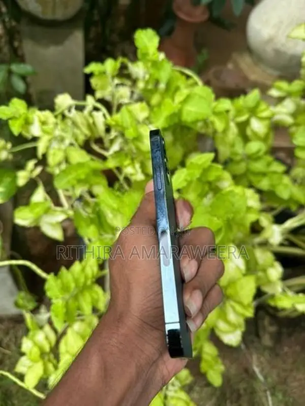Apple iPhone 12 Pro (Used)