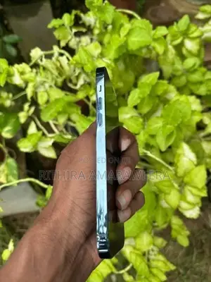 Apple iPhone 12 Pro (Used)