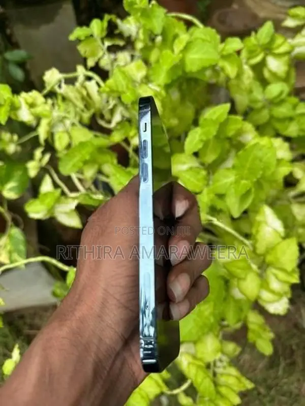 Apple iPhone 12 Pro (Used)