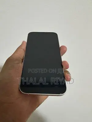 Apple iPhone 13 128GB (Used)