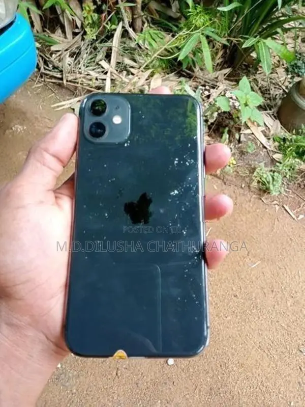 Apple iPhone 11 (Used)