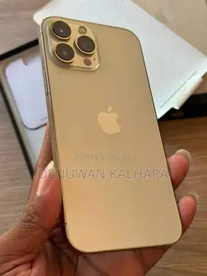 Apple iPhone 13 Pro Max 128GB (Used)