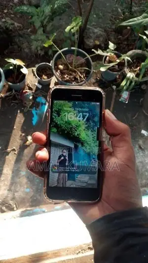 Apple iPhone 8 (Used)