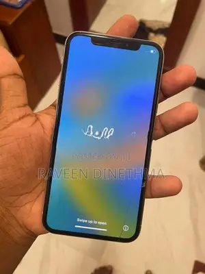 Apple iPhone X (Used)