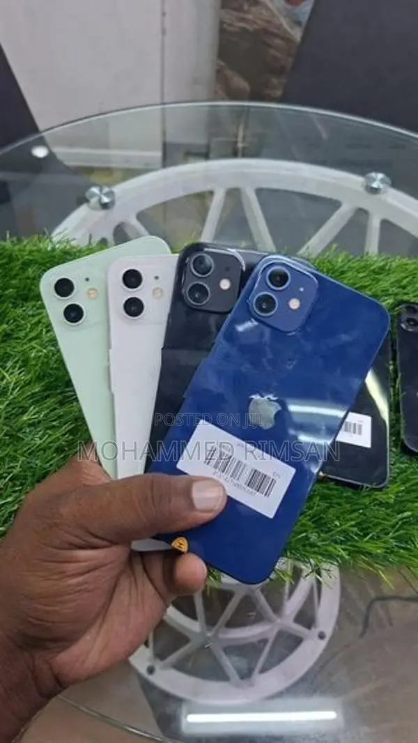 Apple iPhone 12 (Used)