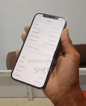 Apple iPhone 12 Pro 256GB LL/A (Used)