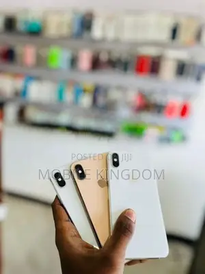 Apple iPhone XS Max 256GB Gold Fullset (Used)