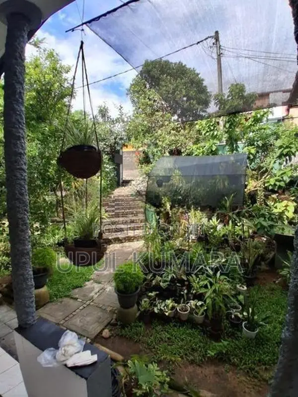 3 Bed Room House For Rent - Arawwala, (Maharagama Piliyandala Road)