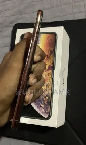 Apple iPhone XS Max (Used)
