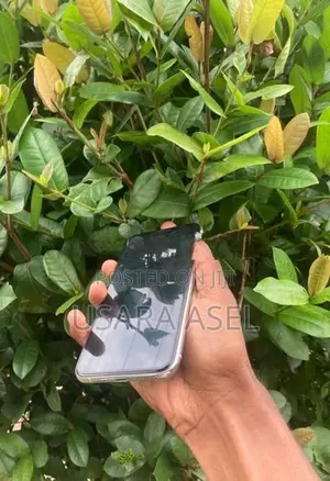 Apple iPhone 11 Pro (Used)