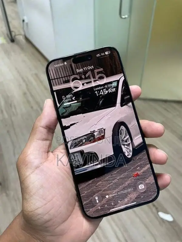 Apple iPhone 15 Pro Max 256GB (Used)