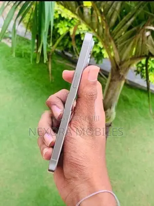 Apple iPhone 15 Pro Max (Used)