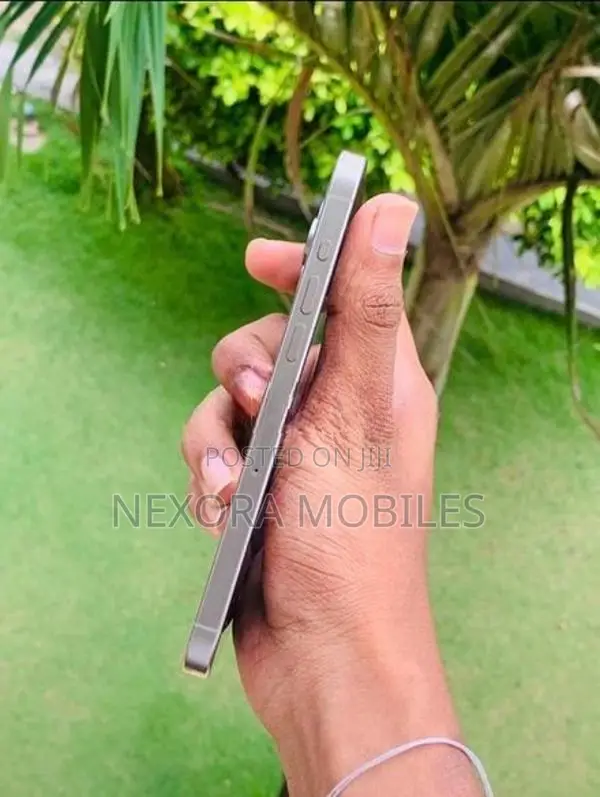 Apple iPhone 15 Pro Max (Used)