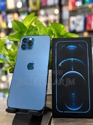 Apple iPhone 12 Pro 256GB (Used)