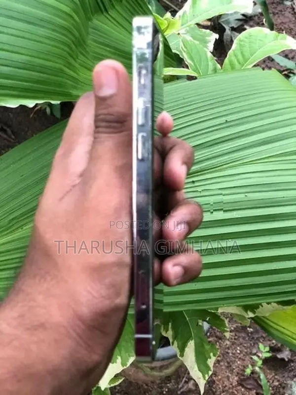 Apple iPhone 12 Pro (Used)