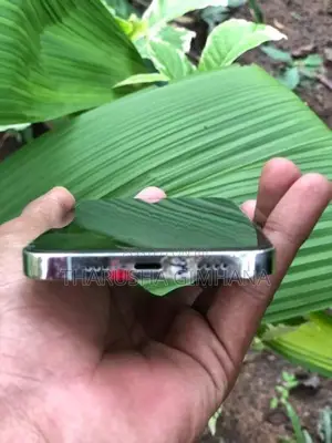 Apple iPhone 12 Pro (Used)