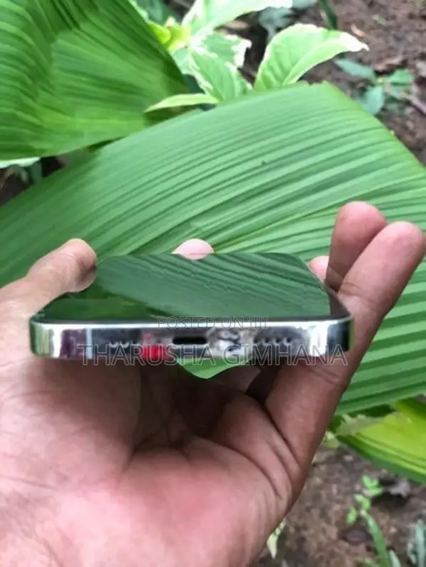 Apple iPhone 12 Pro (Used)