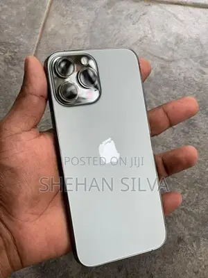 Apple iPhone 13 Pro Max (Used)