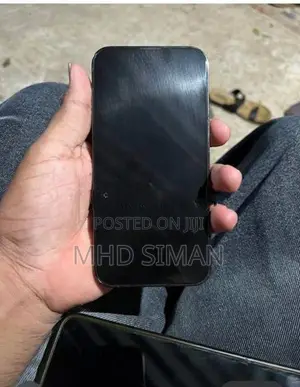Apple iPhone 13 Pro (Used)