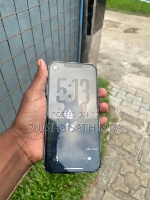 Apple iPhone 13 Pro (Used)