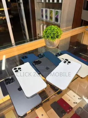 Apple iPhone 12 Pro (Used)