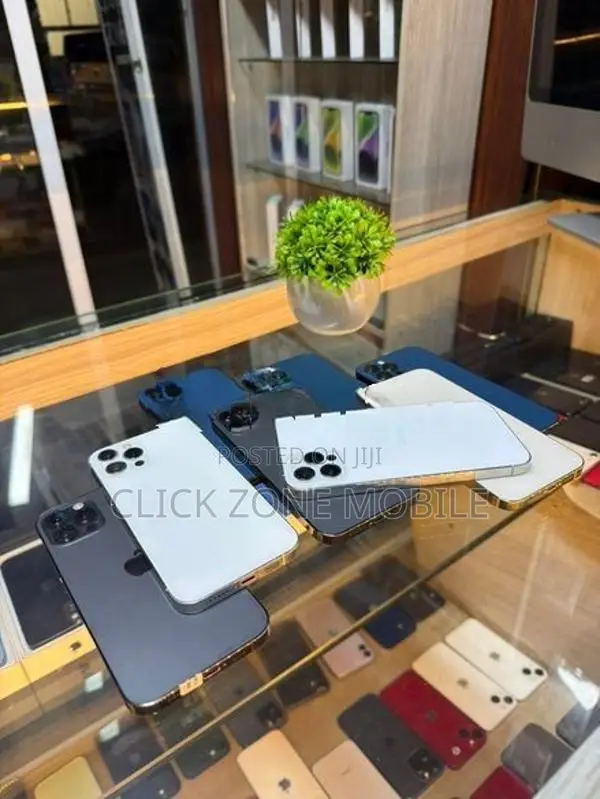 Apple iPhone 12 Pro (Used)