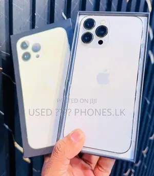 Apple iPhone 13 Pro Max 256GB (Used)