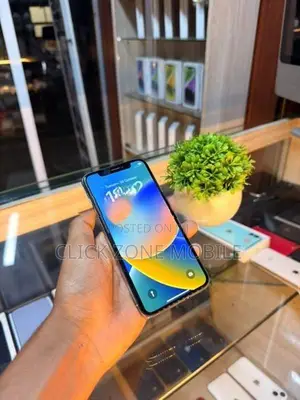 Apple iPhone X 64GB (Used)