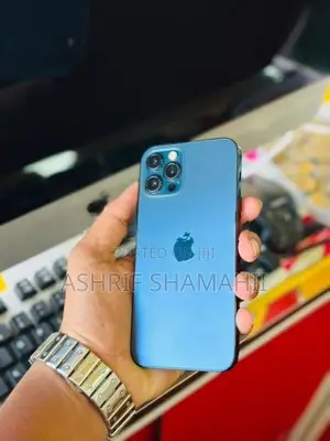 Apple iPhone 12 Pro 256GB (Used)