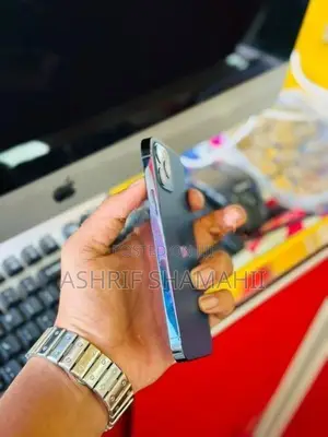 Apple iPhone 12 Pro 256GB (Used)