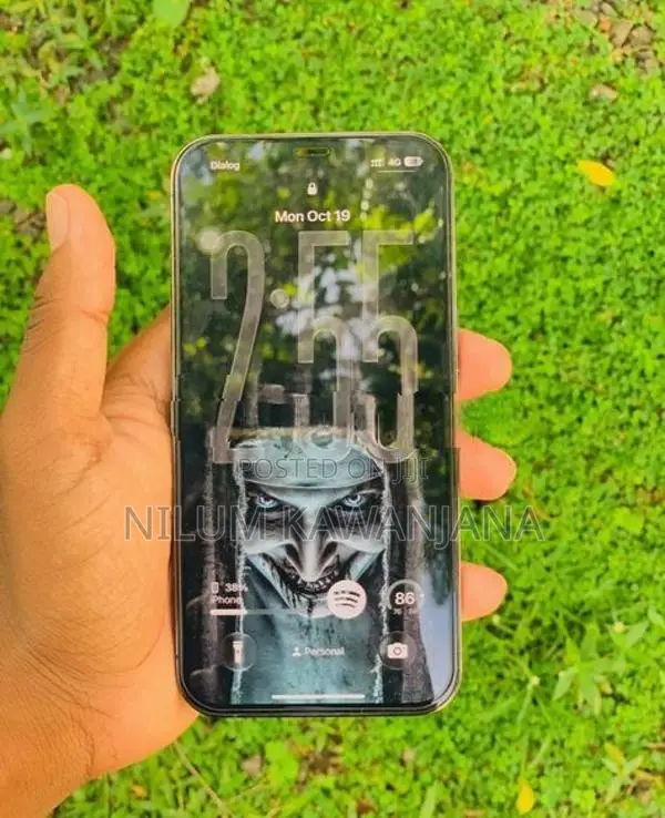 Apple iPhone 13 Pro (Used)