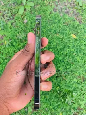 Apple iPhone 13 Pro (Used)