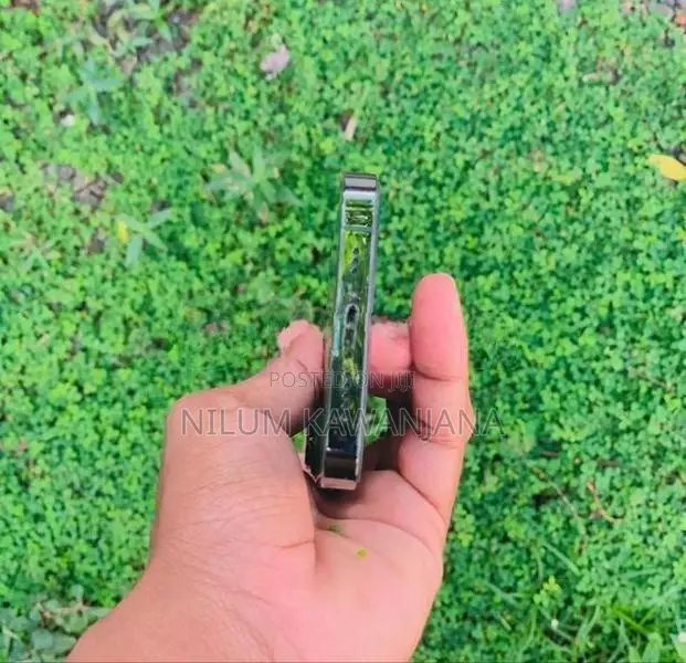 Apple iPhone 13 Pro (Used)