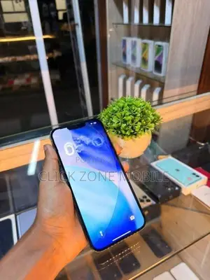 Apple iPhone 13 Pro Max (Used)