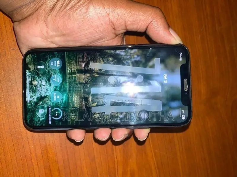 Apple iPhone 11 Pro (Used)