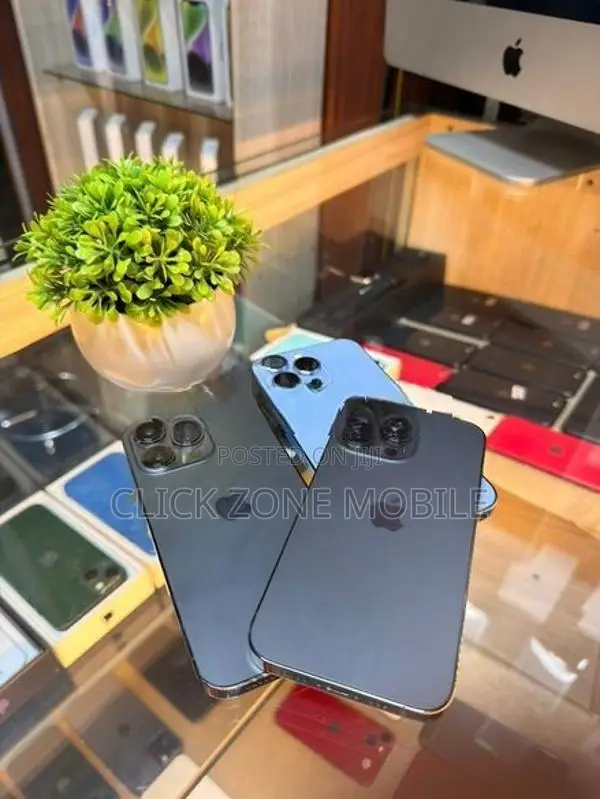 Apple iPhone 13 Pro (Used)