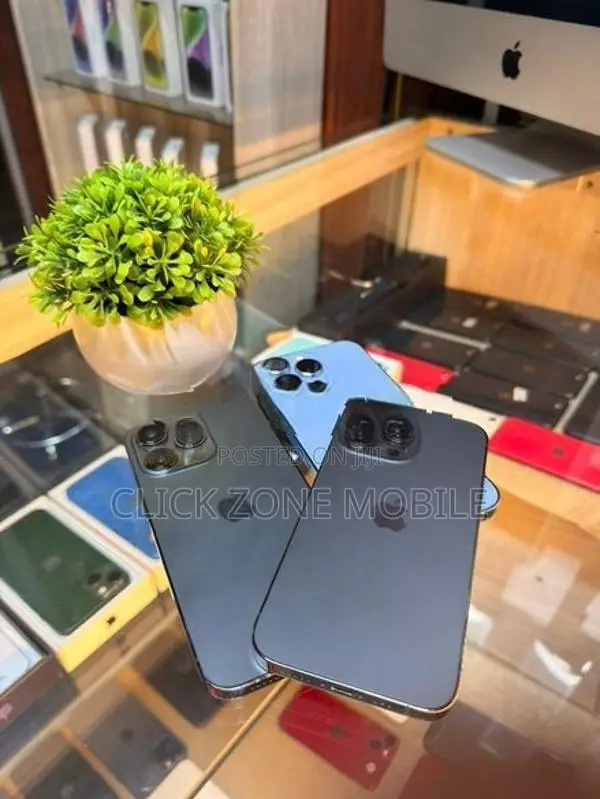 Apple iPhone 13 Pro (Used)
