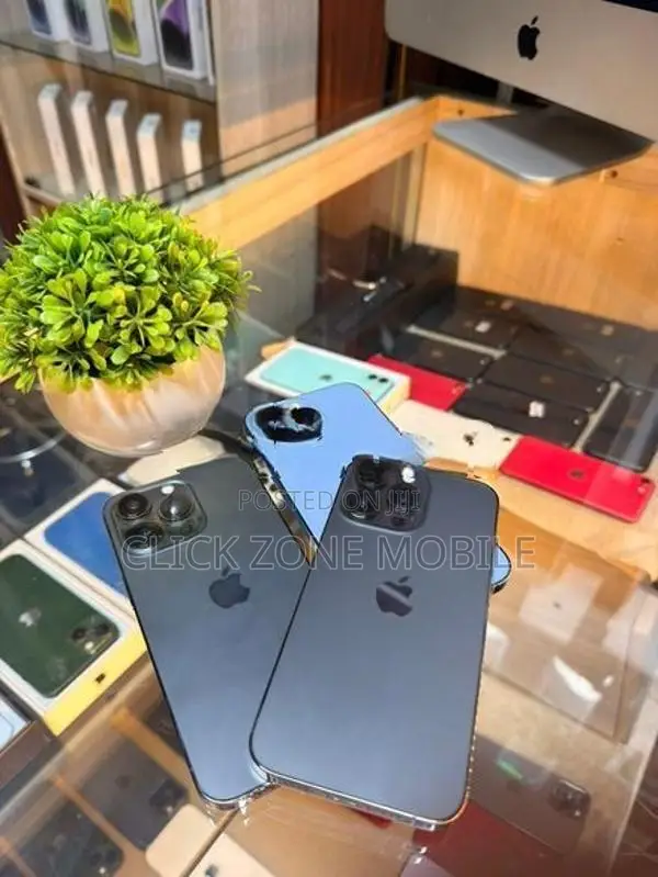 Apple iPhone 13 Pro (Used)