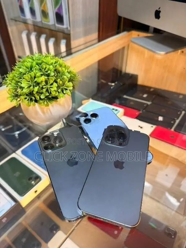 Apple iPhone 13 Pro (Used)