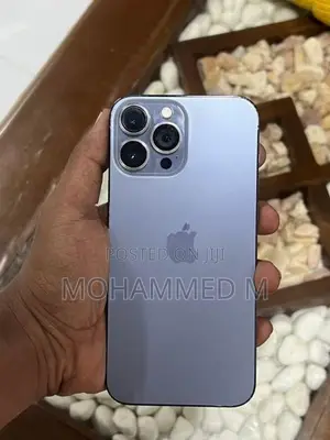 Apple iPhone 13 Pro Max (Used)