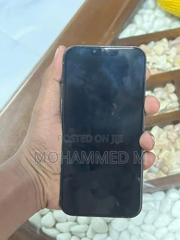 Apple iPhone 13 Pro Max (Used)