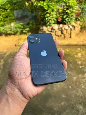 Apple iPhone 12 (Used)