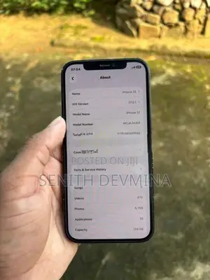 Apple iPhone 12 (Used)