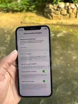 Apple iPhone 12 (Used)