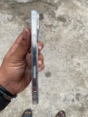 Apple iPhone 13 Pro Max (Used)